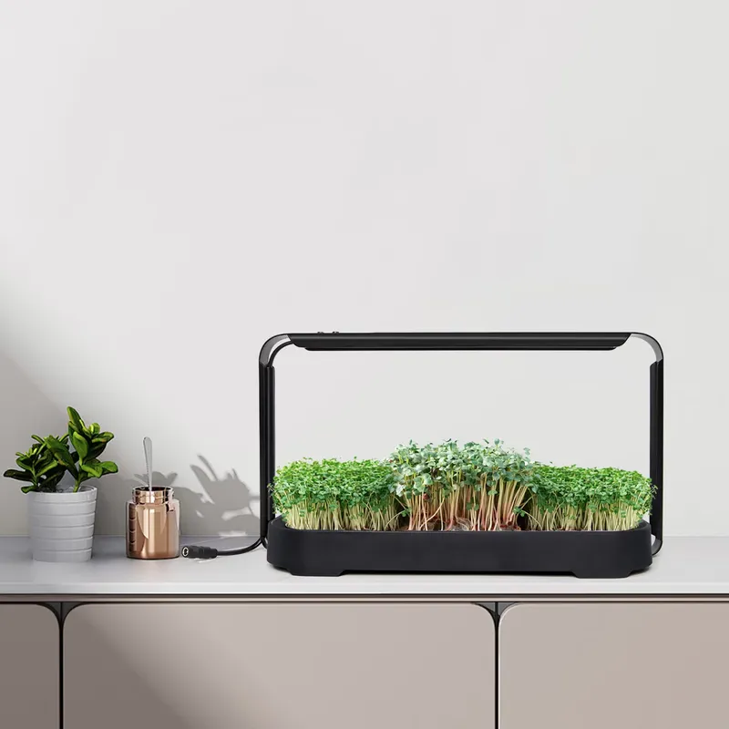 Indoor Garden Kit - نظام زراعة ميكروجرينز هيدروبوني ذاتي الري