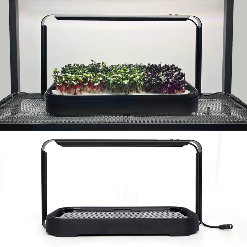 نظام زراعة ميكروجرينز هيدروبون - مراجعة Indoor Garden Kit وسعره