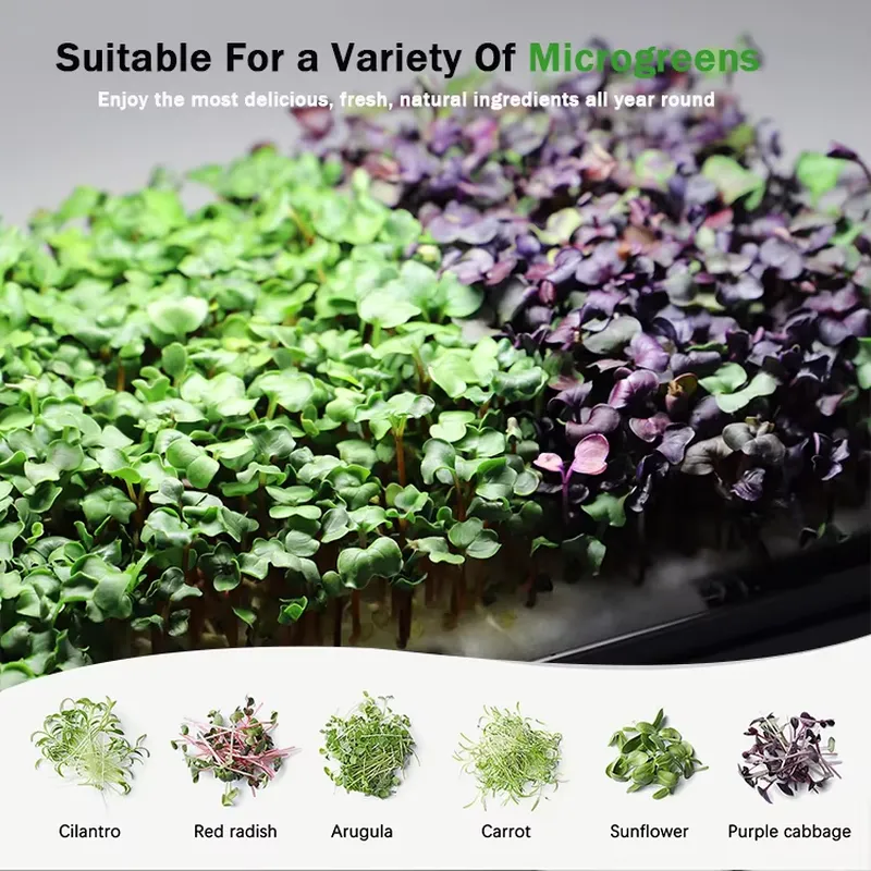 نظام زراعة ميكروجرينز هيدروبون - مراجعة Indoor Garden Kit وسعره