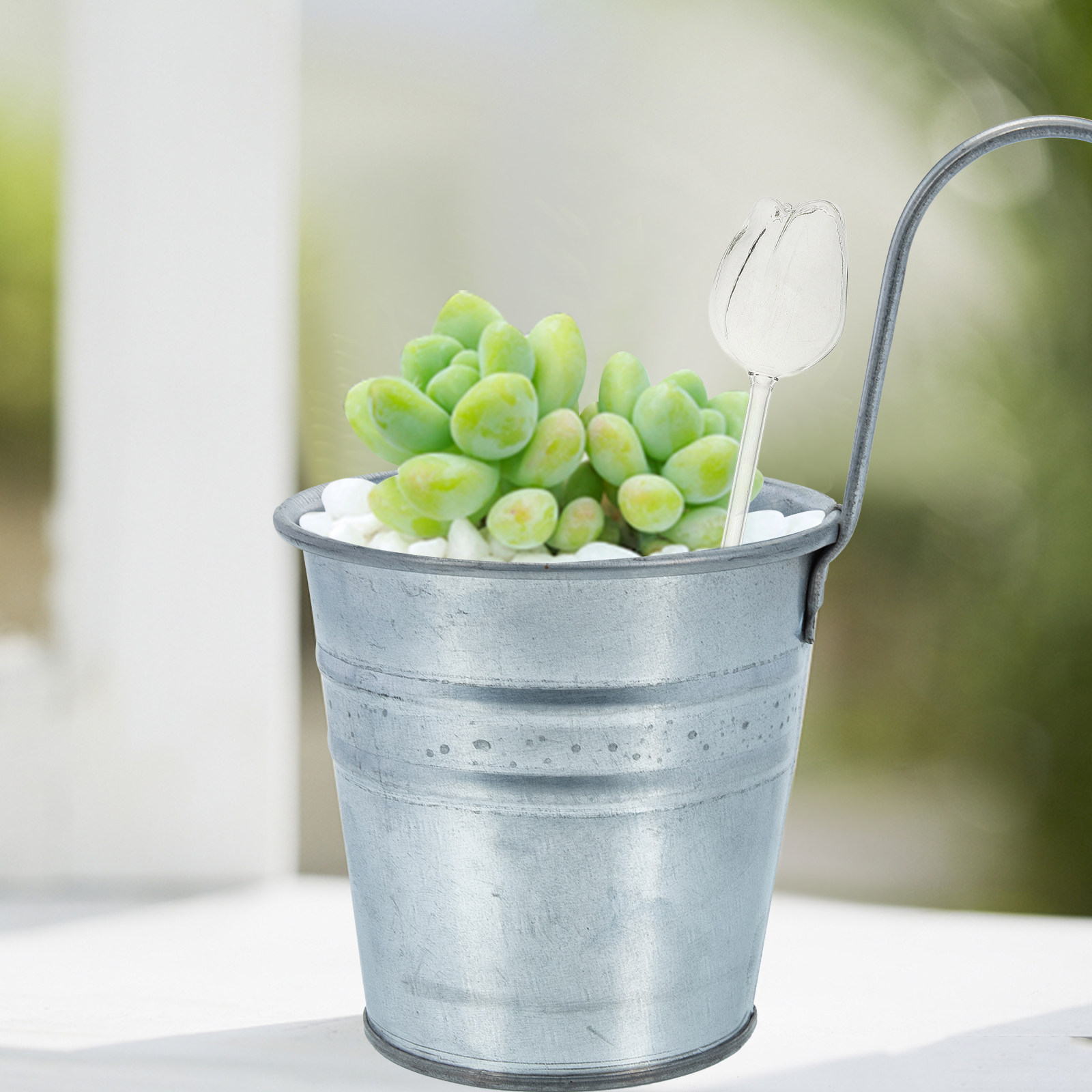 قطعتان من كرات الري الفاخرة ال - مراجعة Self Watering Planter وسعره