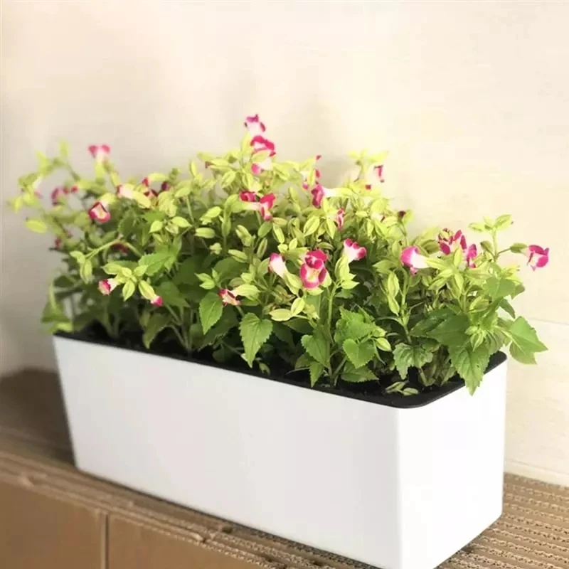 أصيص زهور مستطيل كسول بوعاء زه - مراجعة Hydroponic Grow Pod وسعره