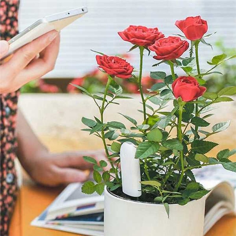 جهاز ABVG-Flora الذكي لمراقبة  - مراجعة Plant Monitor وسعره