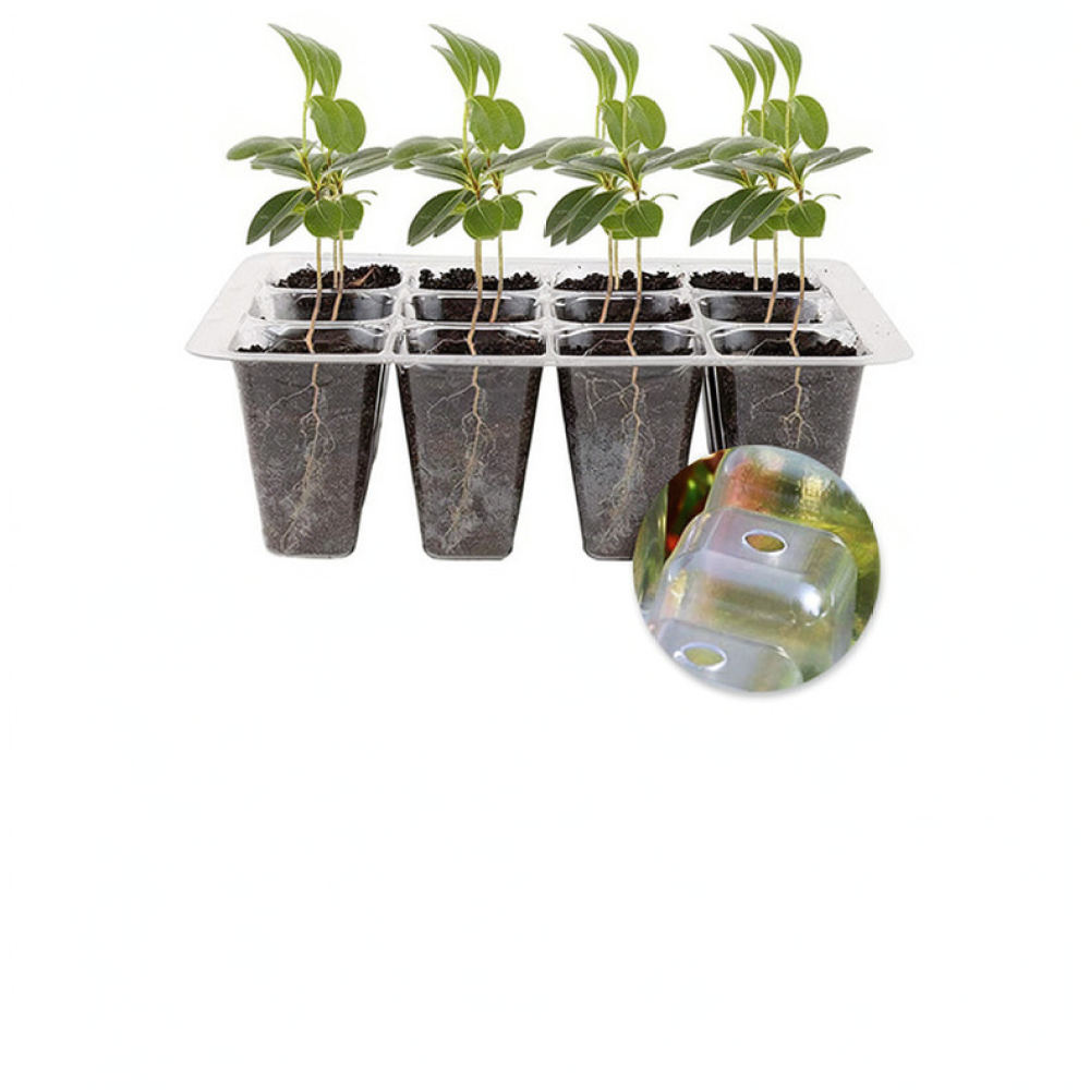 مجموعة أدوات لبدء زراعة النبات - مراجعة Indoor Garden Kit وسعره
