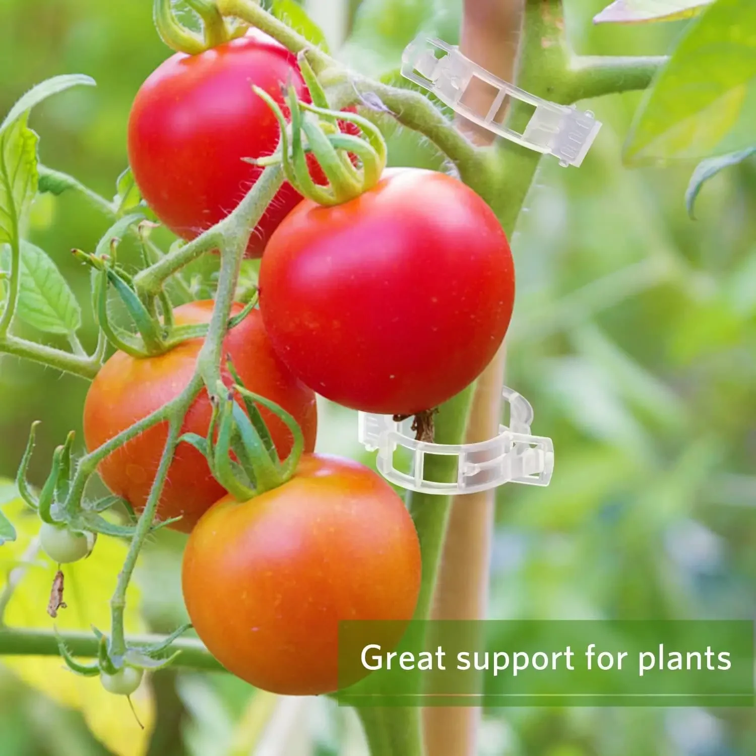 مشابك دعم النباتات قابلة لإعاد - مراجعة Smart Garden Kit وسعره