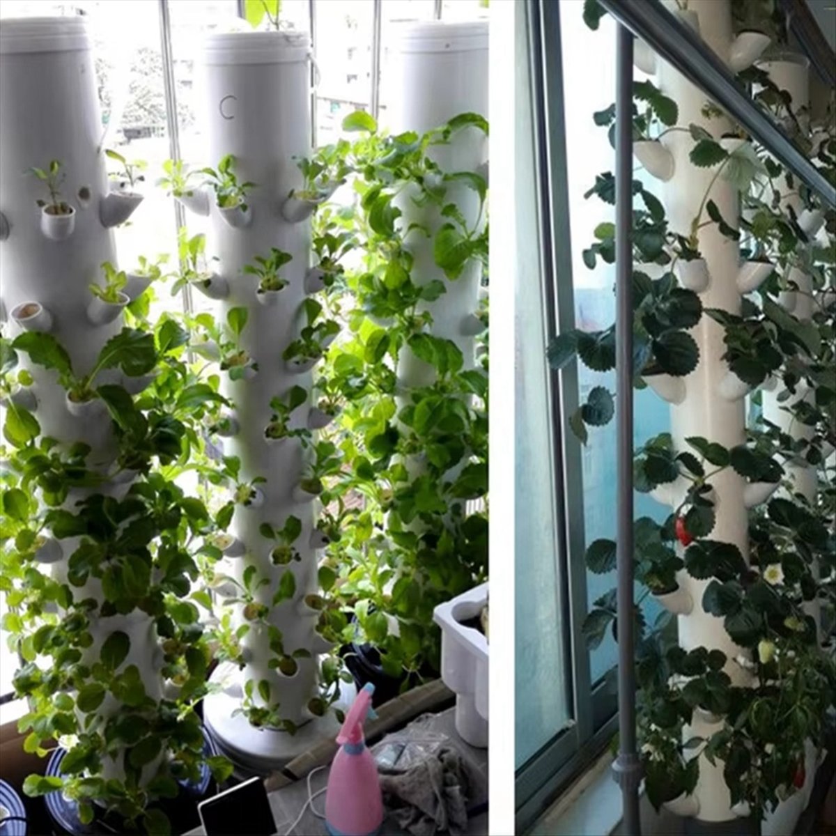 وعاء زراعة عمودي للزراعة المائ - مراجعة Hydroponic Tower وسعره