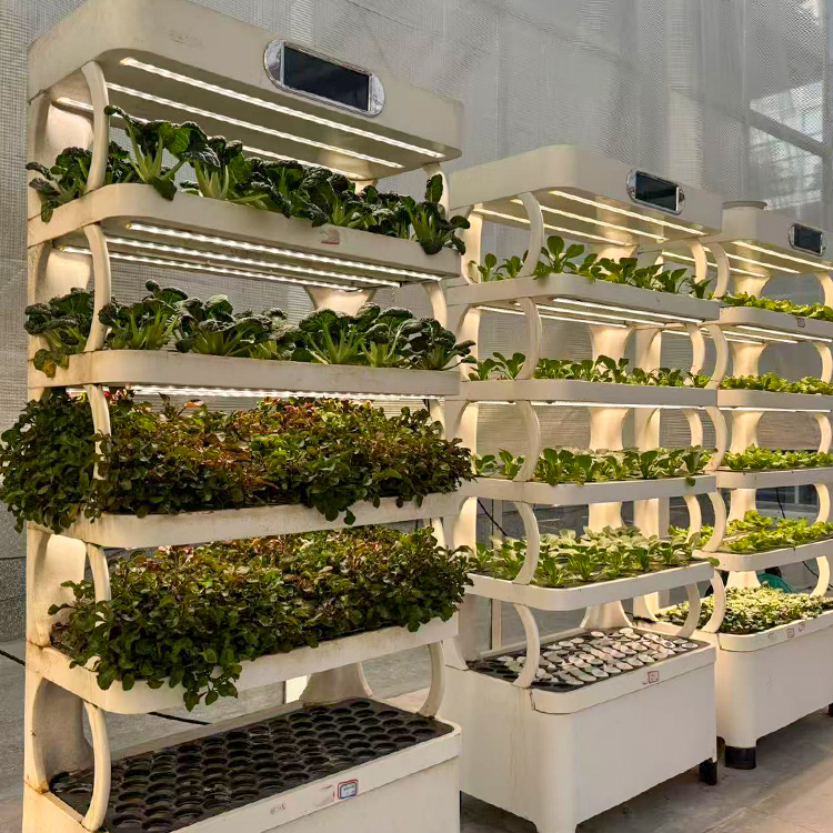 حوض زراعة ذكي للاستخدام الداخل - مراجعة Smart Garden System وسعره
