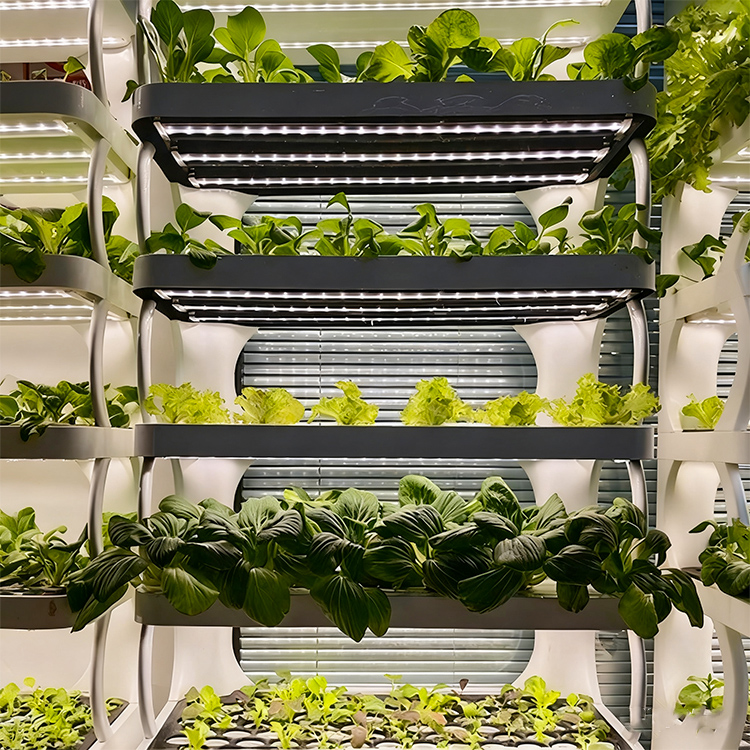 حوض زراعة ذكي للاستخدام الداخل - مراجعة Smart Garden System وسعره